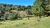 Sítio, 5 quartos, 3 hectares - Foto 2