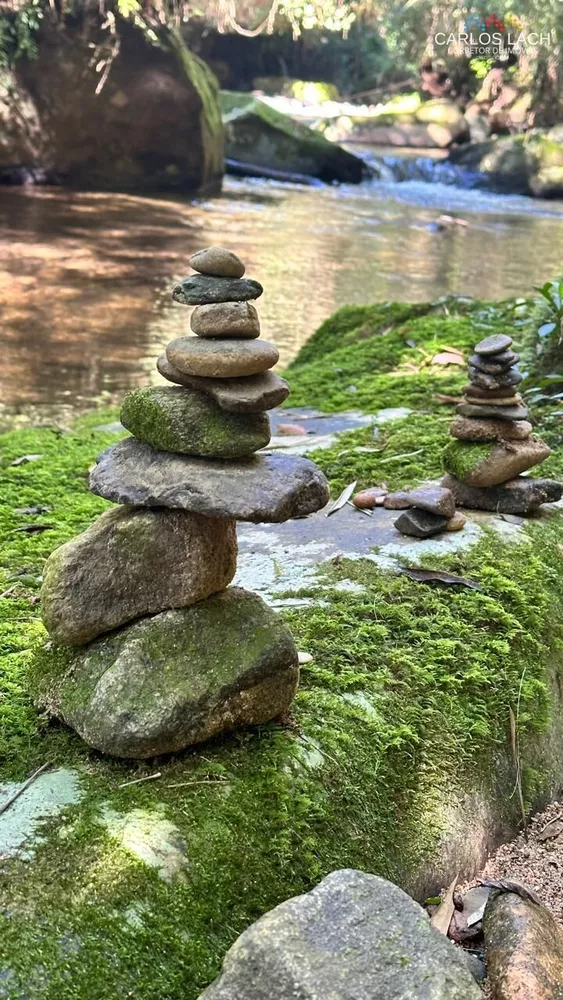 Sítio, 5 quartos, 3 hectares - Foto 3