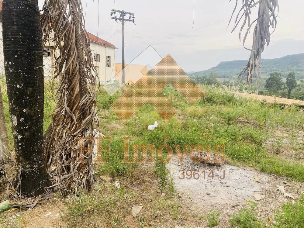 Sala-Conjunto - Foto 2