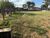 Terreno, 319 m² - Foto 1