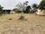 Terreno, 570 m² - Foto 2