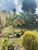 Terreno, 300 m² - Foto 5