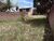 Terreno, 300 m² - Foto 1