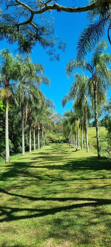 Terreno à venda, 6100m² - Foto 7