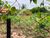 Terreno, 600 m² - Foto 3