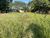 Terreno, 300 m² - Foto 3