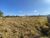Terreno, 10000 m² - Foto 2
