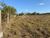 Terreno, 10000 m² - Foto 3