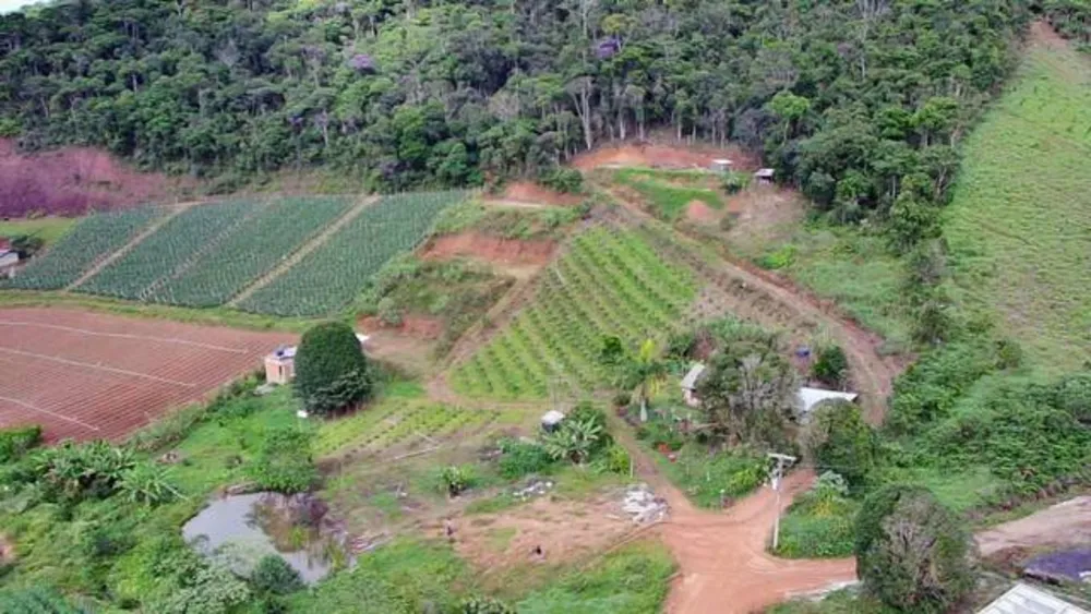 Sítio, 3 quartos, 2 hectares - Foto 3