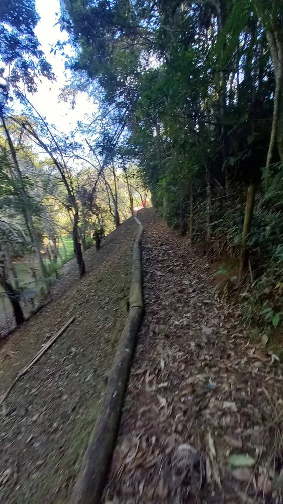 Fazenda à venda com 4 quartos, 23000m² - Foto 4