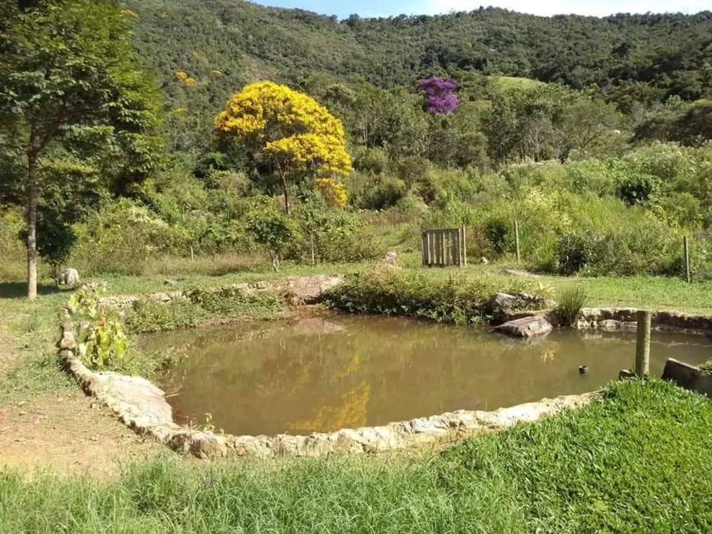 Sítio, 3 quartos, 4 hectares - Foto 24