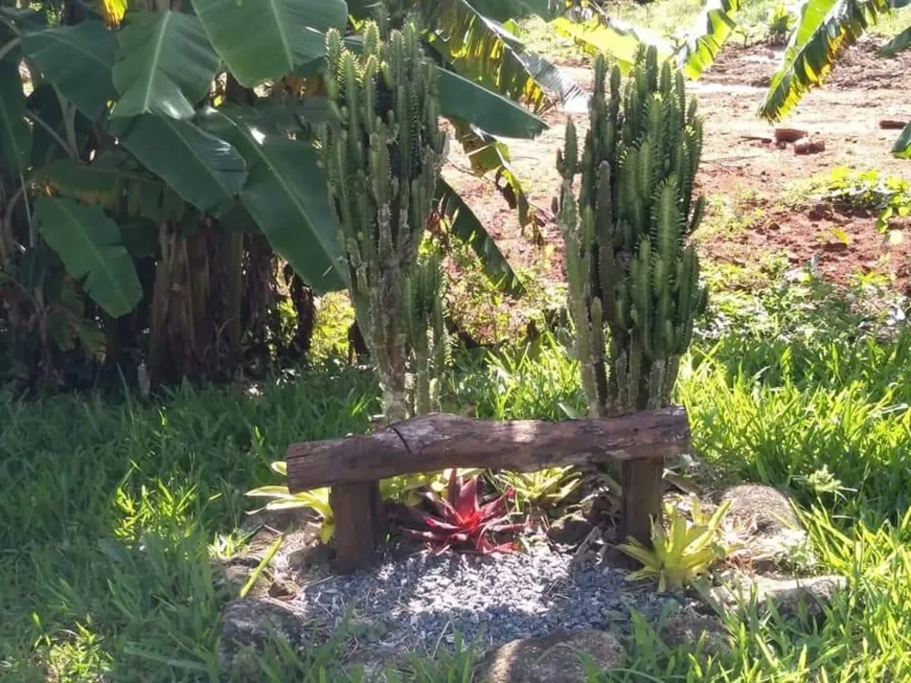 Sítio, 3 quartos, 4 hectares - Foto 8