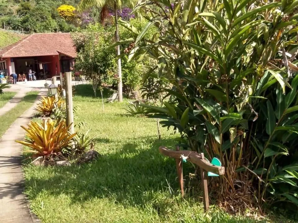 Sítio, 3 quartos, 4 hectares - Foto 4