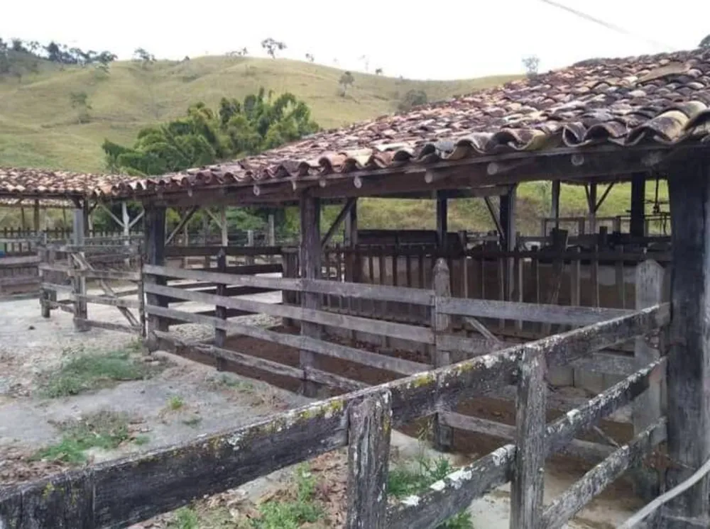 Terreno - Foto 6