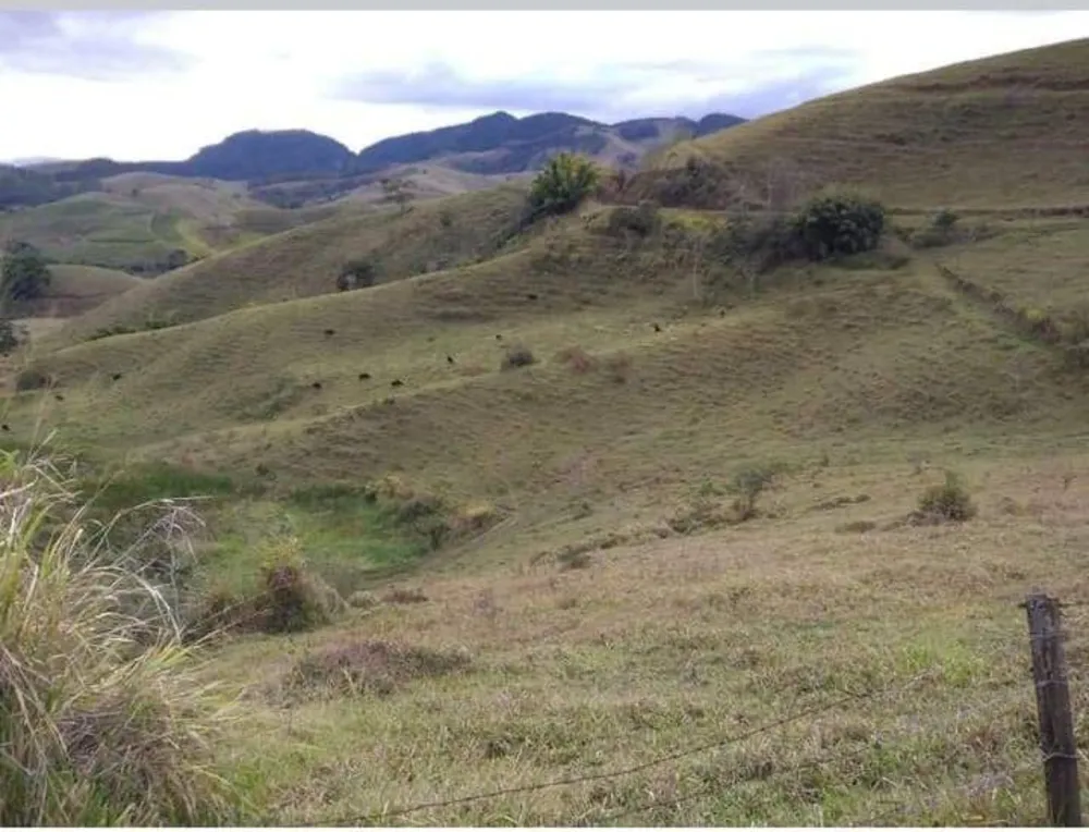 Terreno - Foto 5