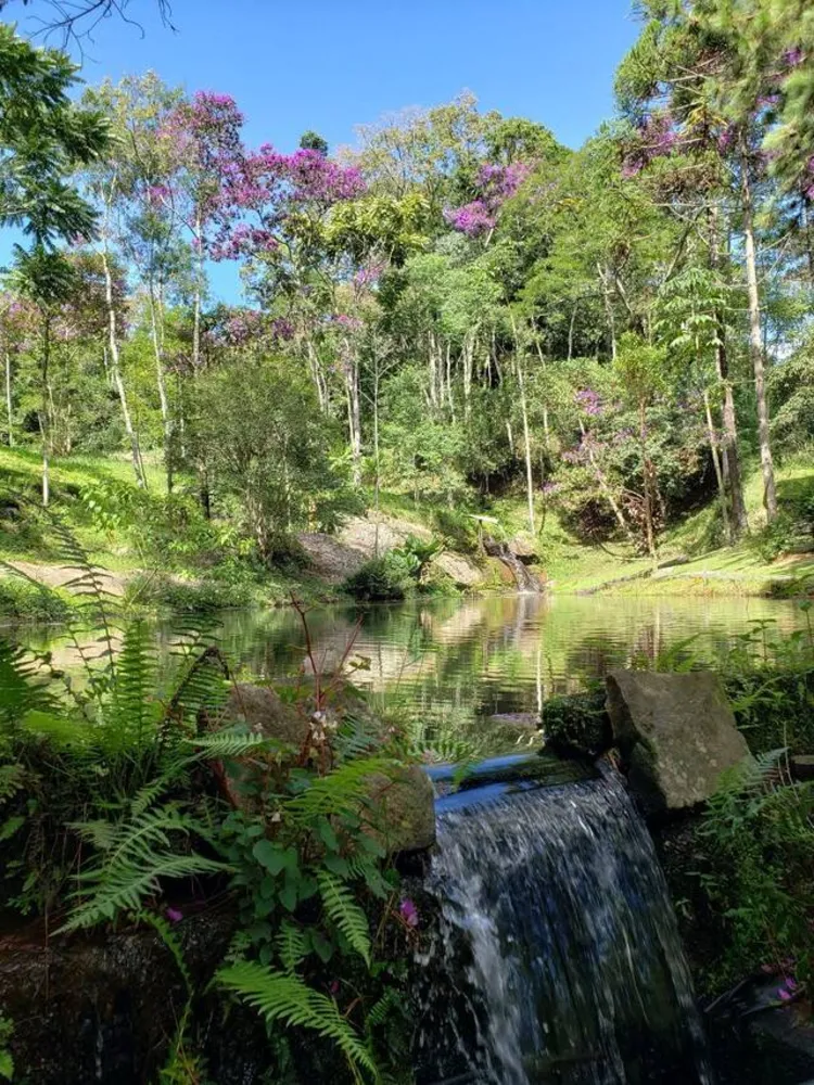 Chácara, 5 quartos, 2 hectares - Foto 13
