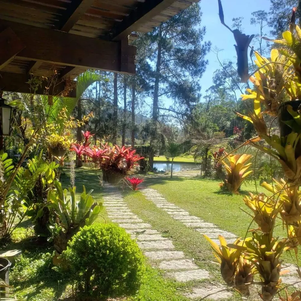 Chácara, 5 quartos, 2 hectares - Foto 17