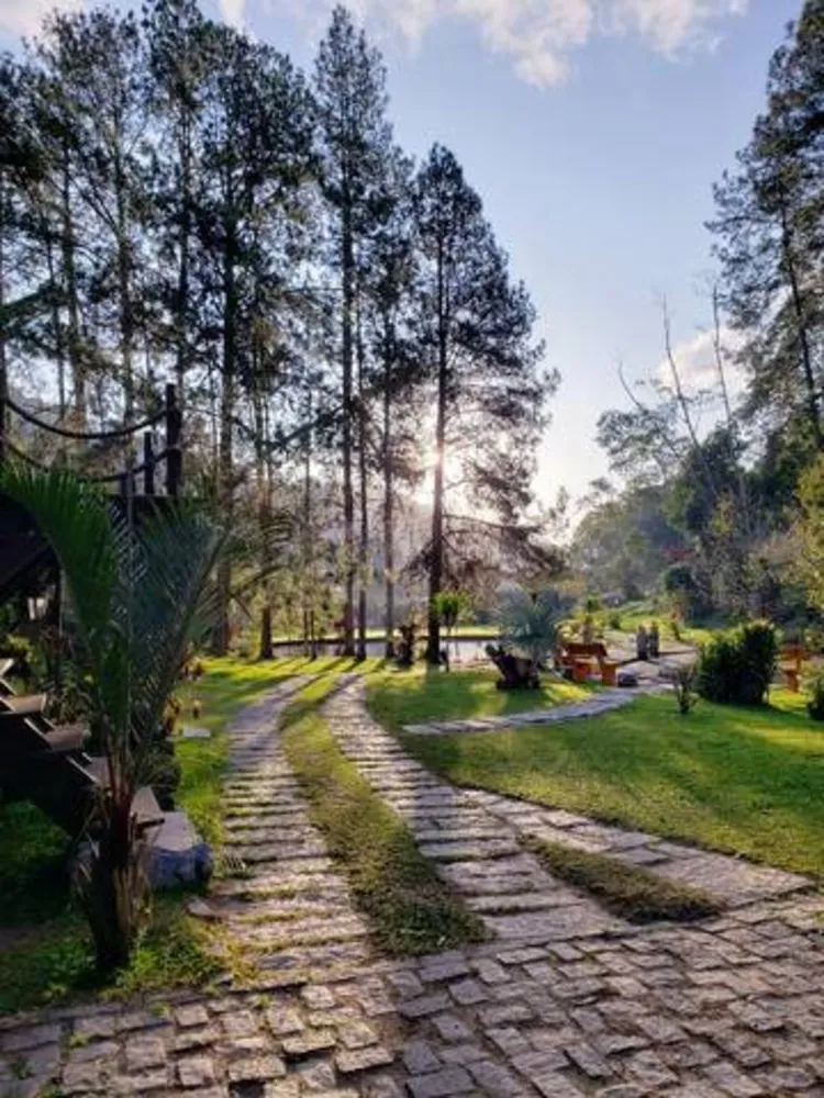 Chácara, 5 quartos, 2 hectares - Foto 18