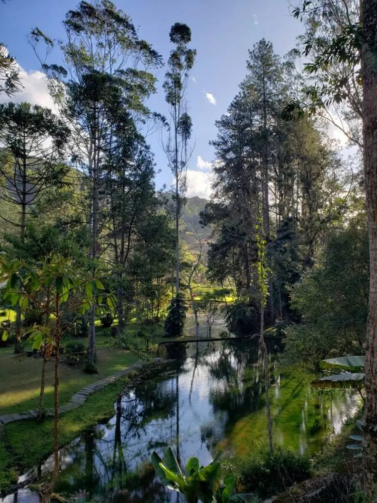 Chácara, 5 quartos, 2 hectares - Foto 16