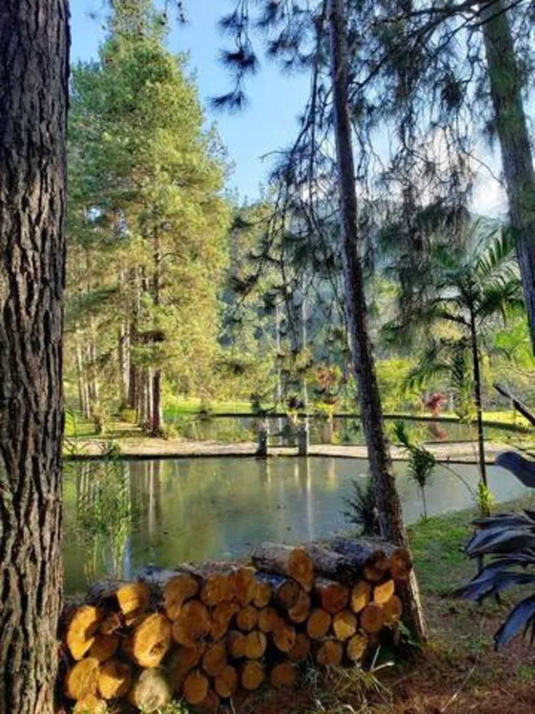 Chácara, 5 quartos, 2 hectares - Foto 4