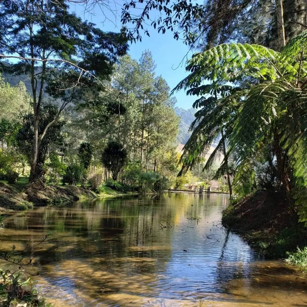 Chácara, 5 quartos, 2 hectares - Foto 1
