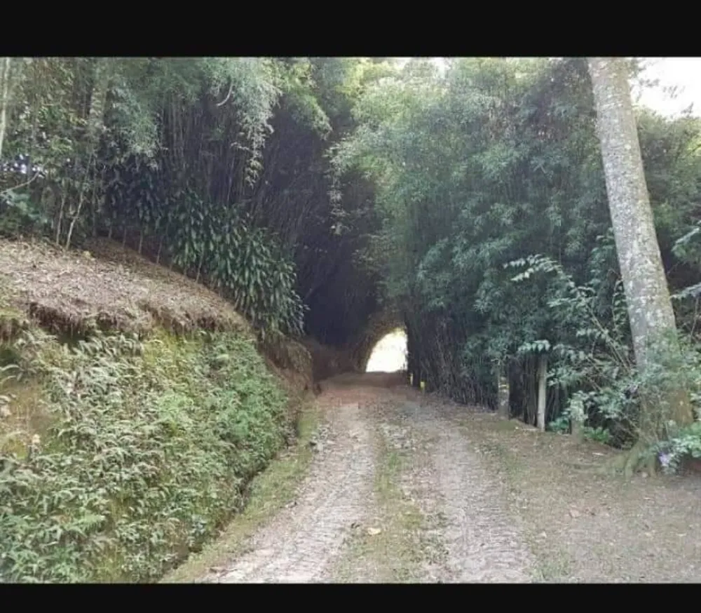 Sítio, 3 quartos, 5 hectares - Foto 8