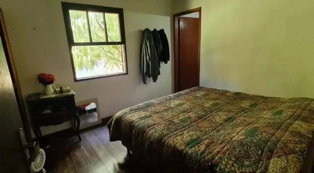 Terreno, 5 hectares - Foto 7