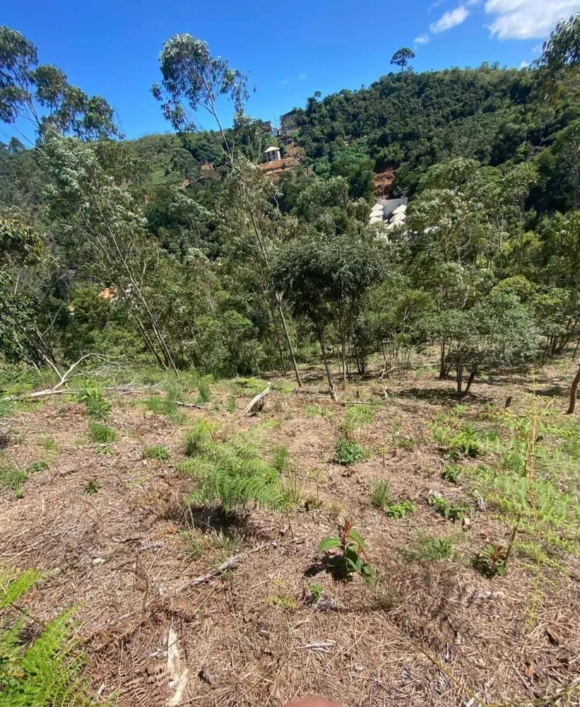 Terreno, 1420 m² - Foto 1