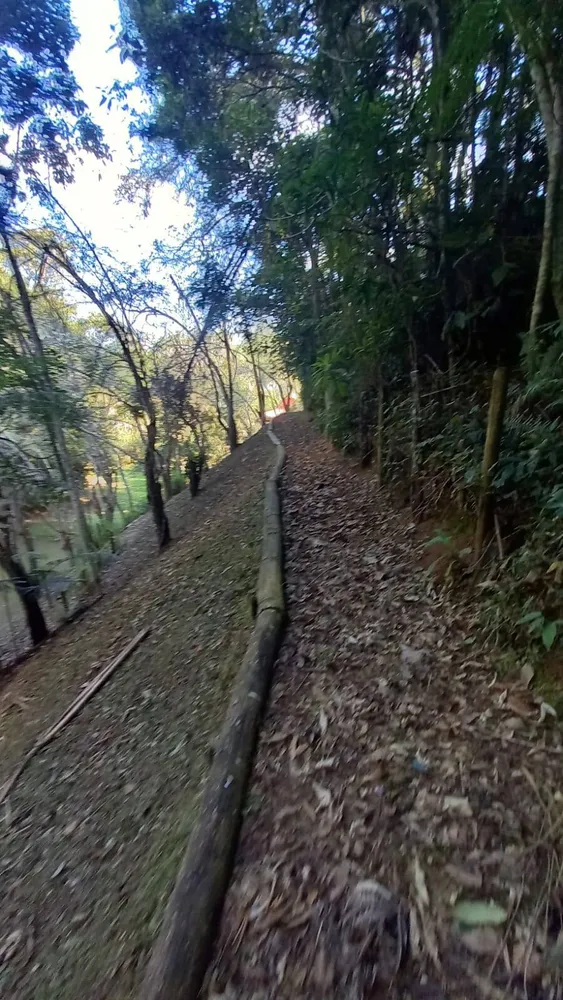 Sítio, 4 quartos, 2 hectares - Foto 4