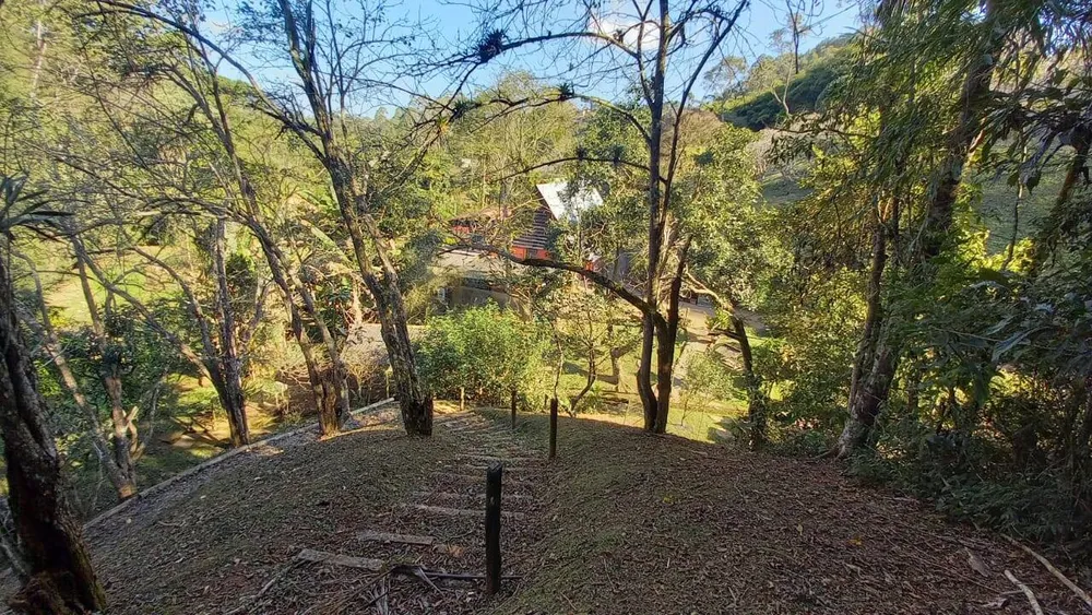 Sítio, 4 quartos, 2 hectares - Foto 23
