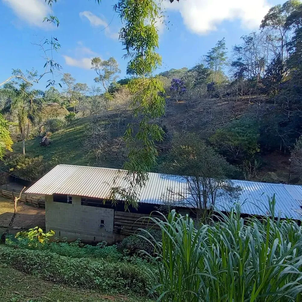Sítio, 4 quartos, 2 hectares - Foto 28