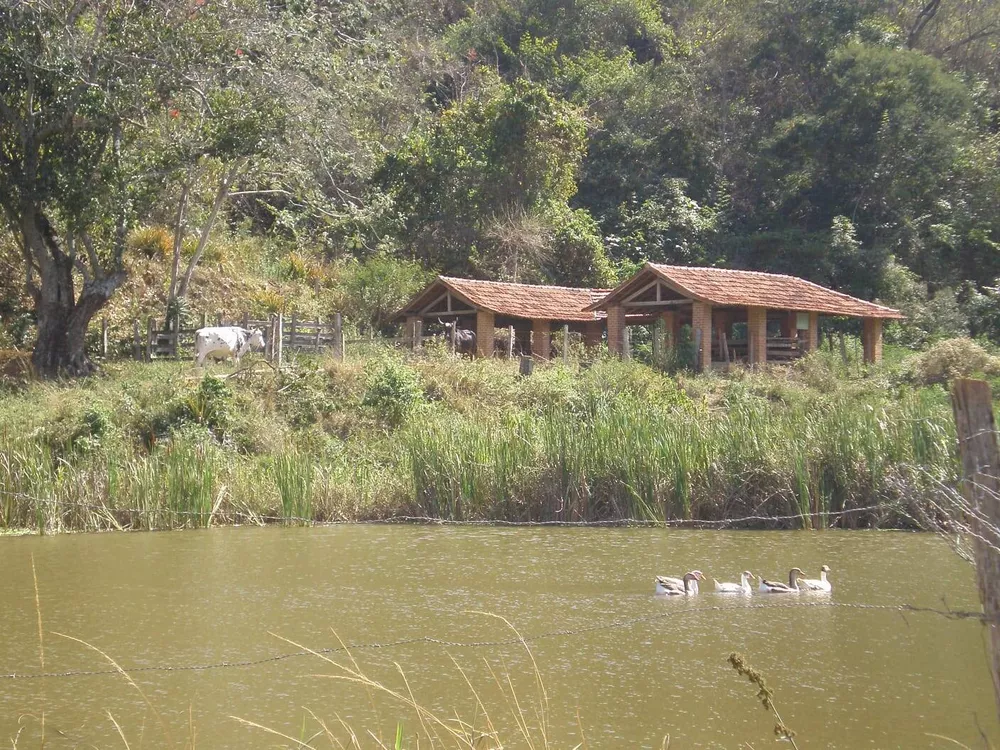 Fazenda à venda com 3 quartos - Foto 6