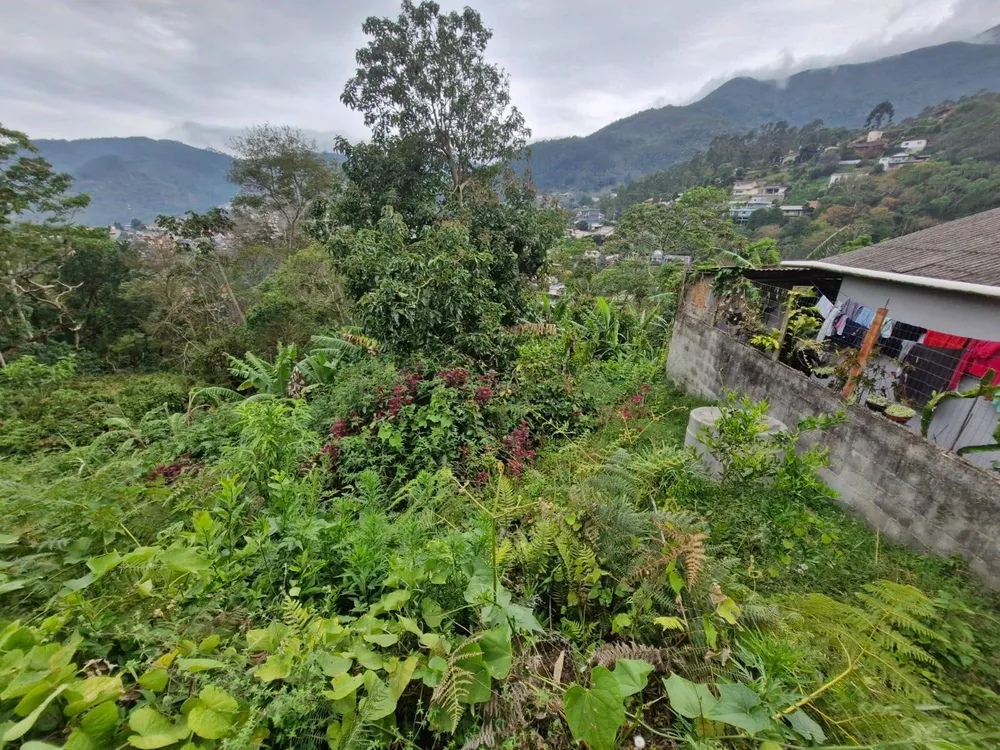 Terreno, 7380 m² - Foto 1