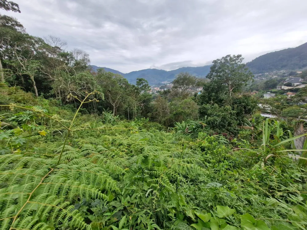 Terreno, 7380 m² - Foto 3