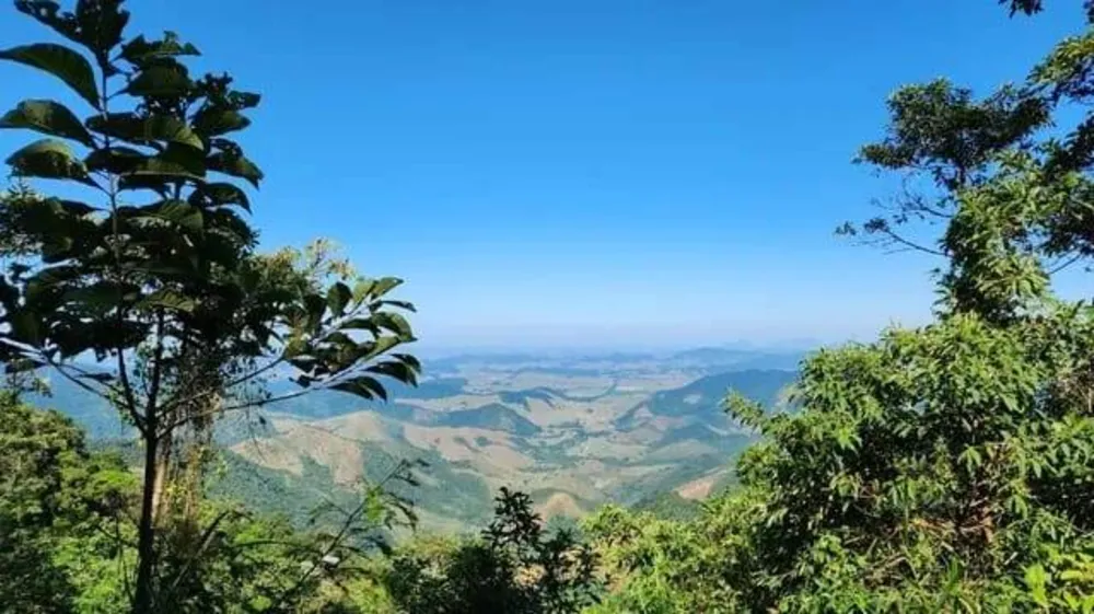 Terreno, 5 hectares - Foto 8