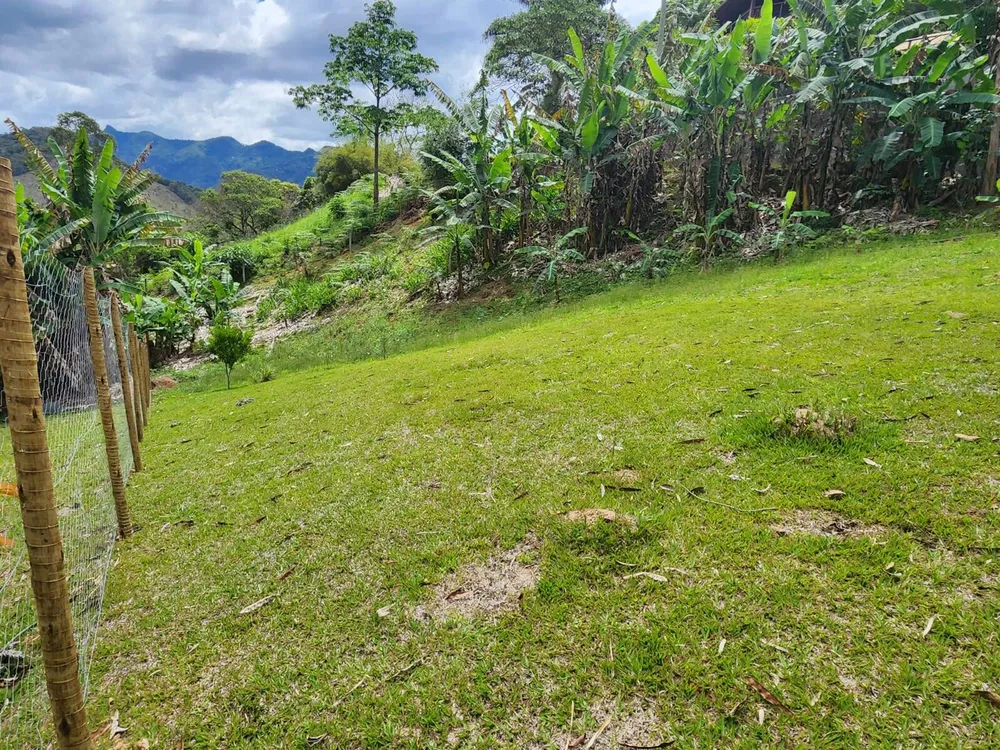 Terreno, 50 hectares - Foto 3