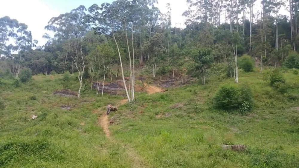 Terreno, 2 hectares - Foto 4