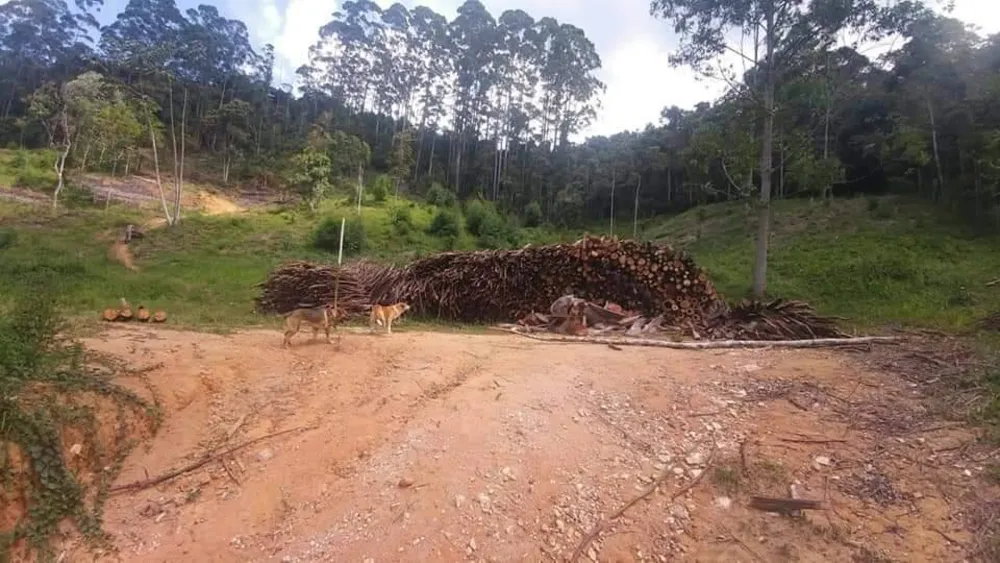Terreno, 2 hectares - Foto 1
