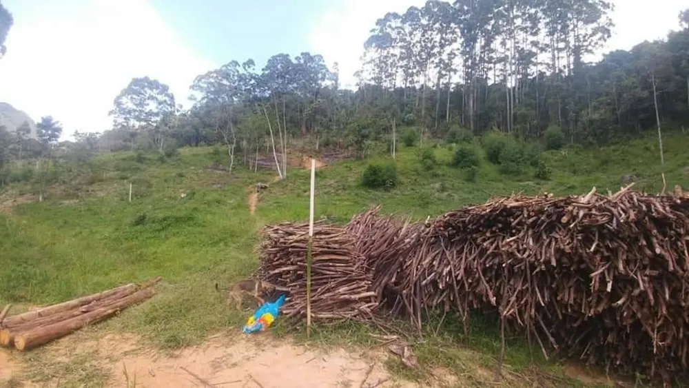 Terreno, 2 hectares - Foto 2