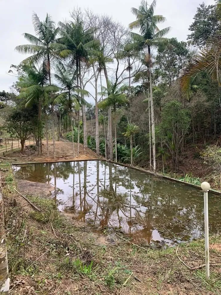 Sítio, 3 quartos, 8 hectares - Foto 12