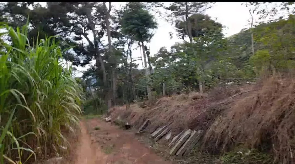 Fazenda à venda com 2 quartos, 116000m² - Foto 6