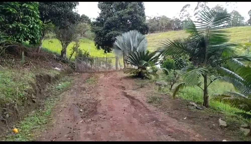 Fazenda à venda com 2 quartos, 116000m² - Foto 3