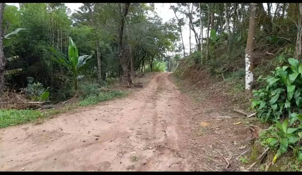 Fazenda à venda com 2 quartos, 116000m² - Foto 4