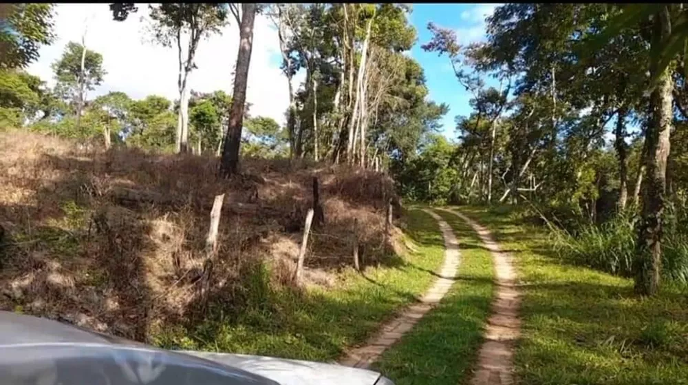 Fazenda à venda com 2 quartos, 116000m² - Foto 8