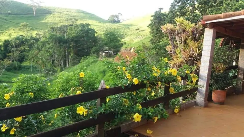 Terreno, 5 hectares - Foto 6