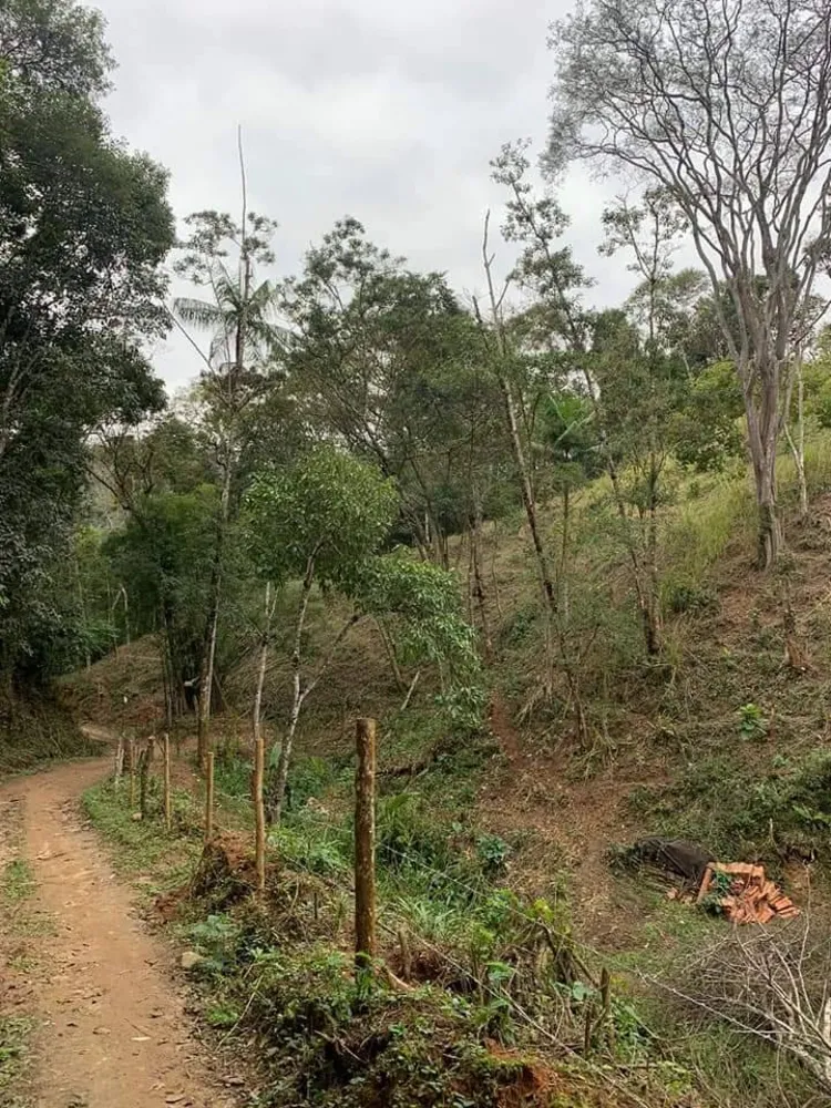 Sítio, 3 quartos, 8 hectares - Foto 4