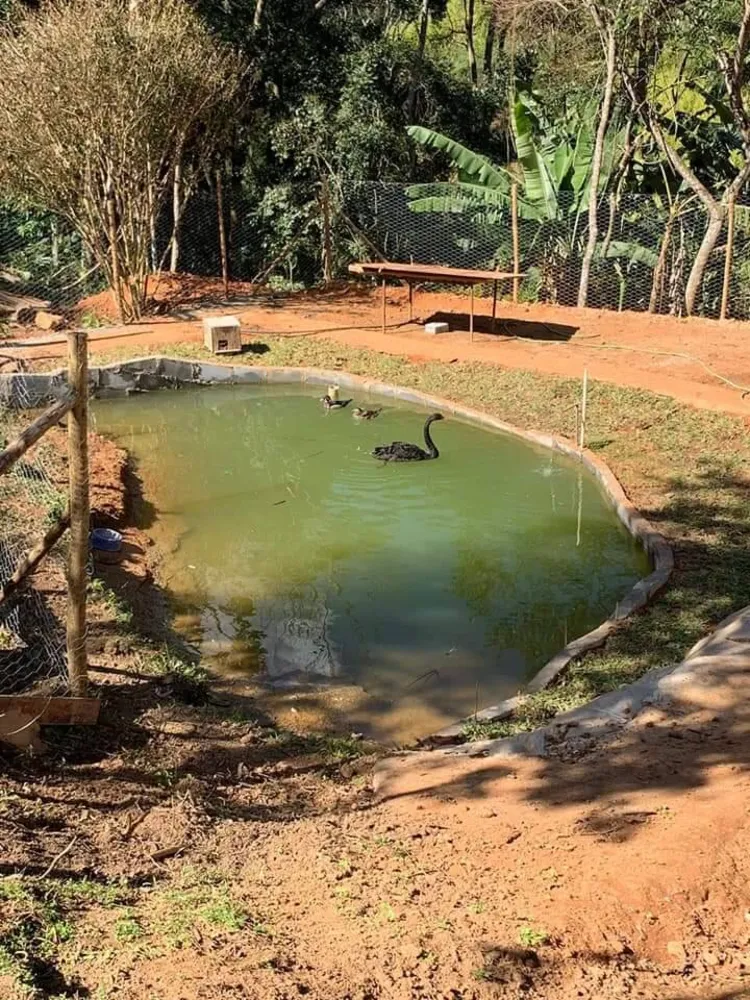 Sítio, 3 quartos, 8 hectares - Foto 1