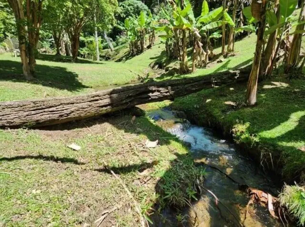 Terreno, 5 hectares - Foto 2