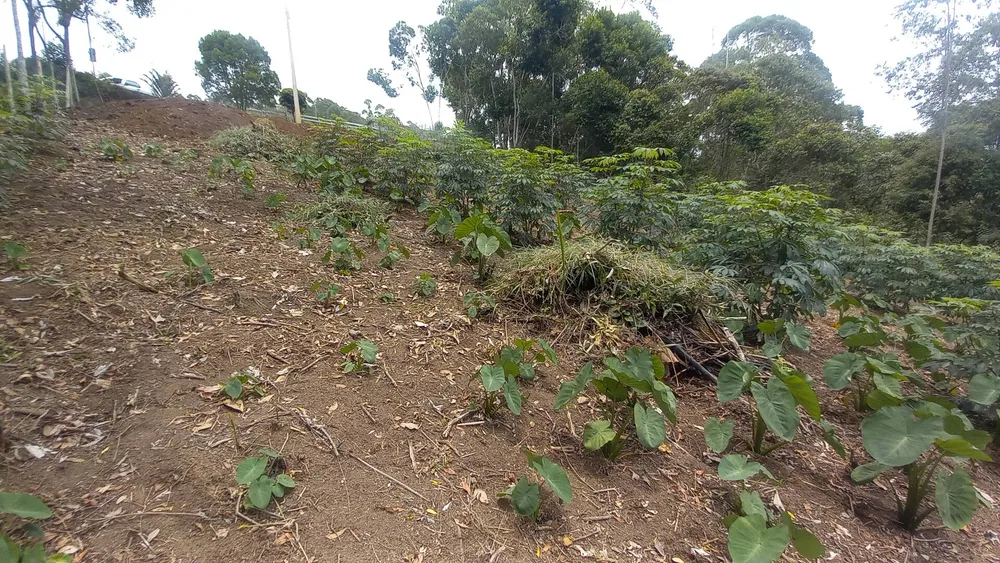 Terreno, 900 m² - Foto 5