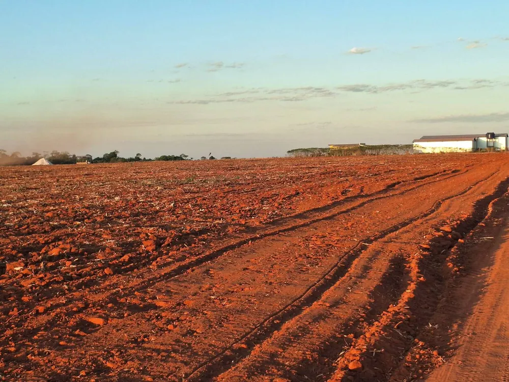 Terreno - Foto 4